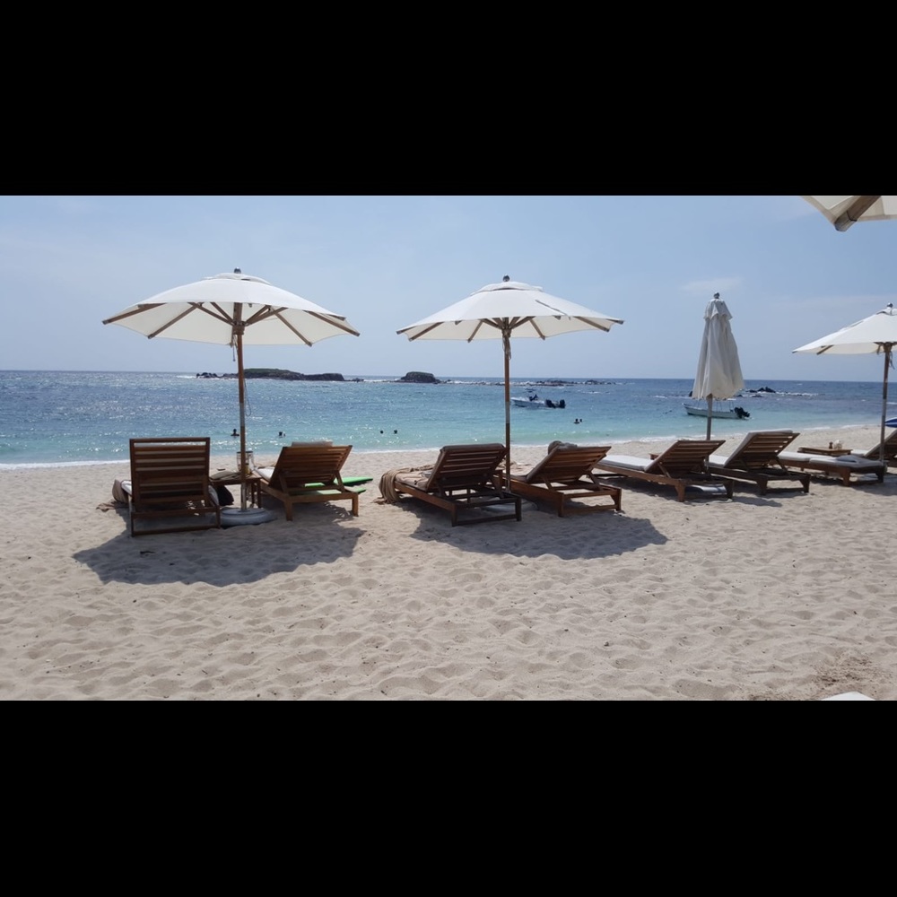 Meet your Posher, Paula